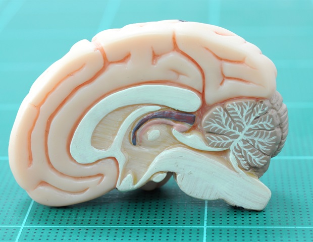Childhood trauma affects brain pathways linked to adult anhedonia