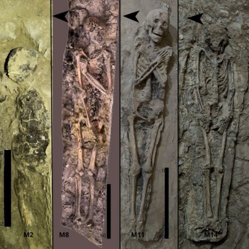 Theban tomb reveals how Egyptian burial trends evolved in time