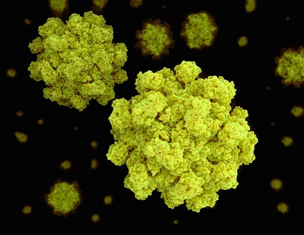 Novel norovirus vaccine approach may be adaptable for other RNA viruses