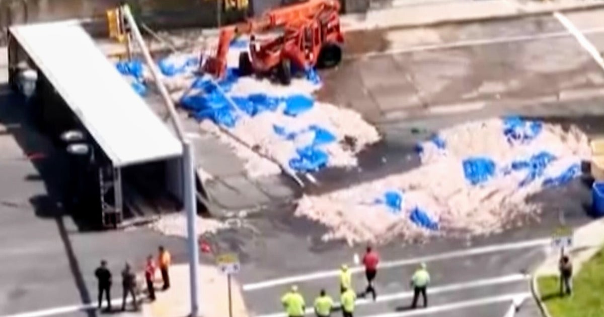 Truckload Of Squid Spills Into The Street In Rhode Island — And, Boy, Does It Stink!