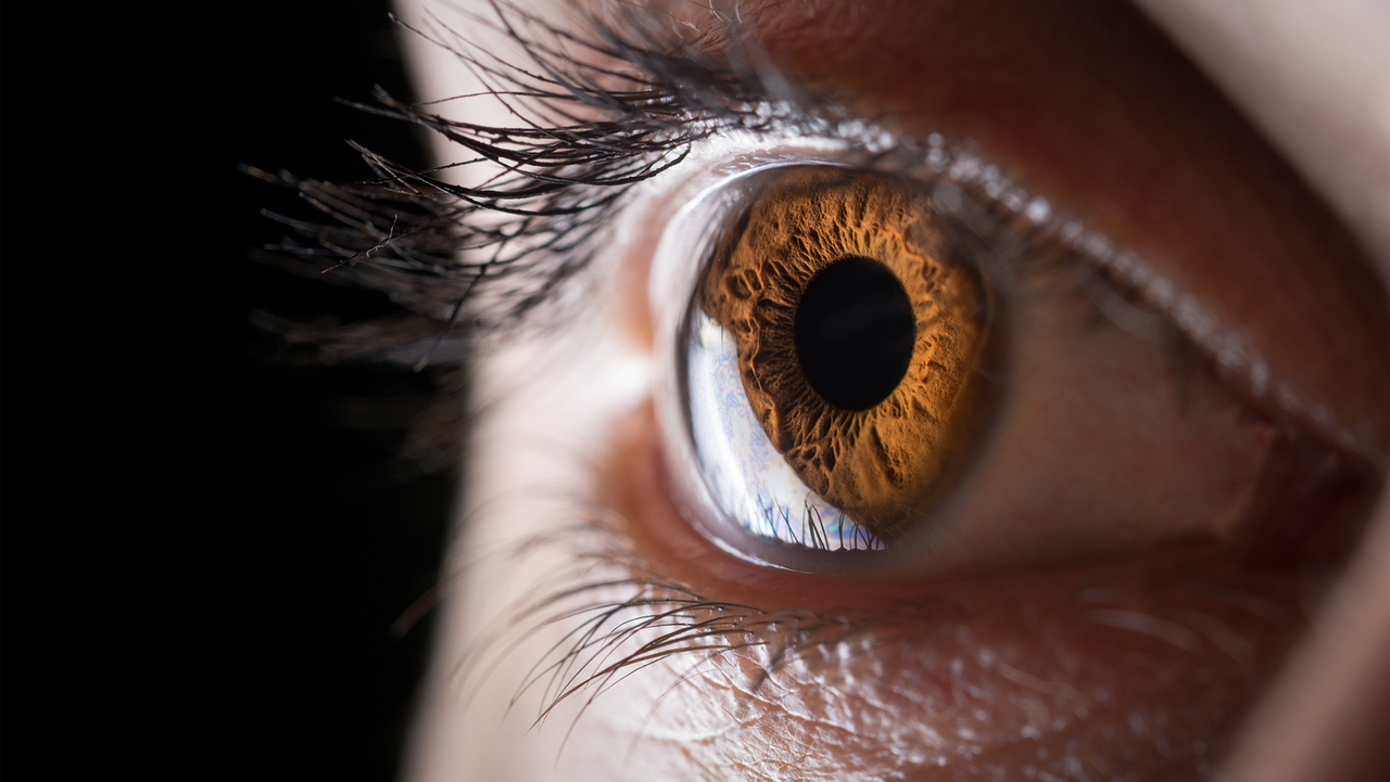 Meet the scientists 3D printing corneas to restore people’s vision, potentially filling a worldwide shortage of transplantable tissue