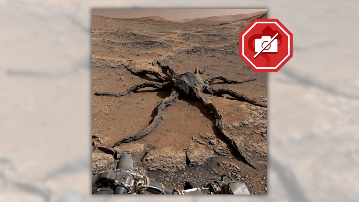 Does this image show creepy ‘spider’ on Mars?