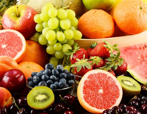 Fruit fly brain inspires energy-efficient scent classification algorithm