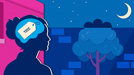 A New Framework for How the Brain Compresses Our Noisy World
