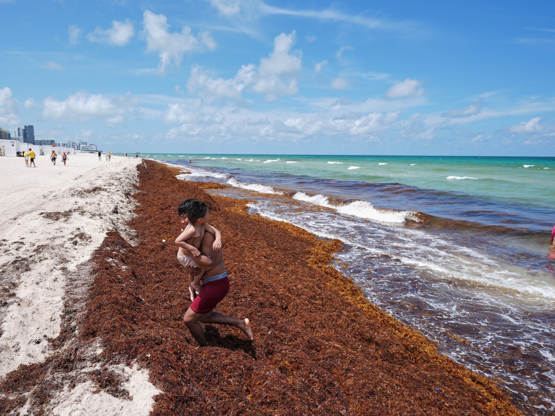 Global ocean temperatures hit record high as El Nino intensifies