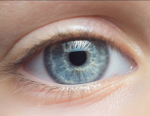 New molecular pathway explains why eye pressure rises at night