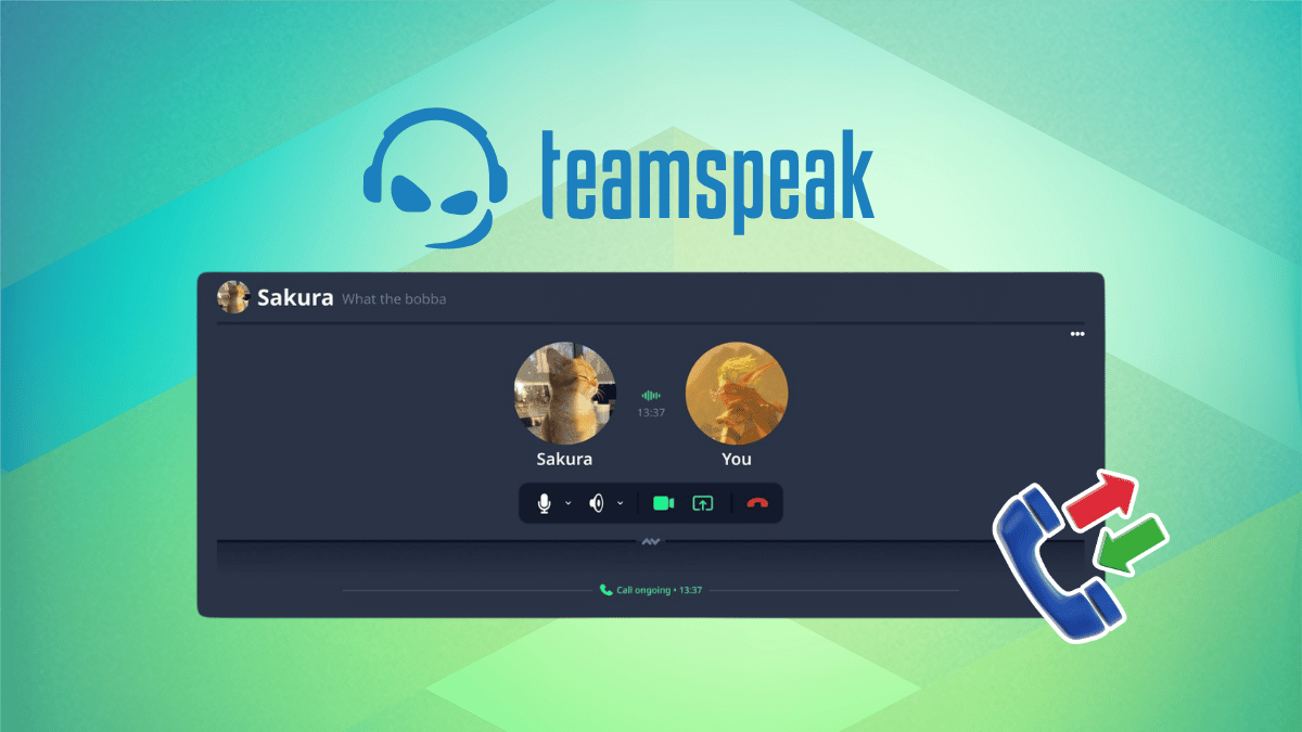 TeamSpeak Will Let You Call Your Friends Directly