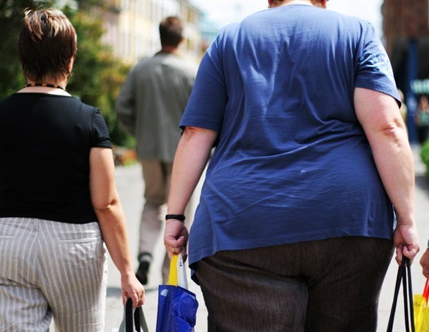Maternal obesity alters fetal liver metabolism via placental molecular signals