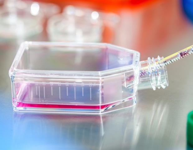 New artificial lung mimics breathing and alveolar movement