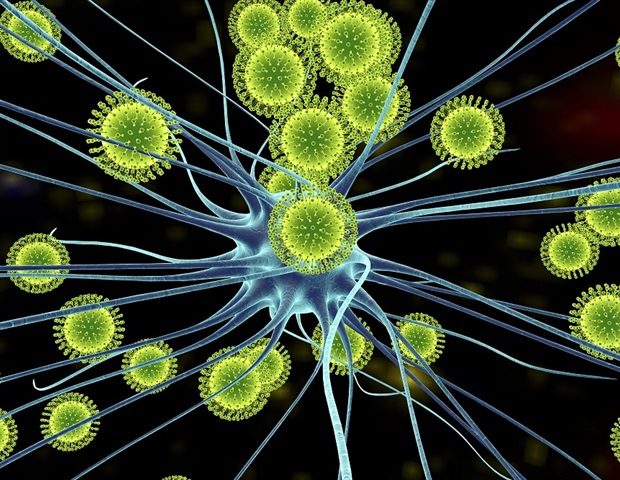 Experimental vaccine protects against Zika virus through T cells alone