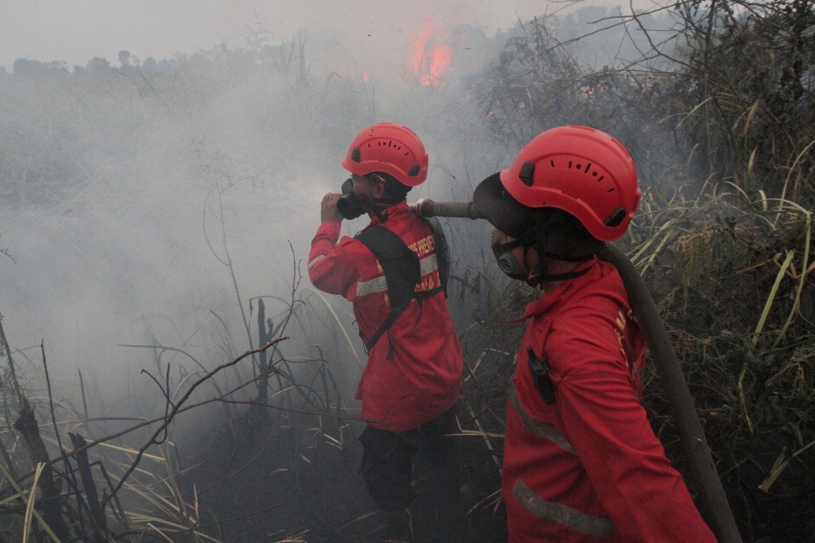Wildfires on Indonesia’s Borneo island turn the air toxic