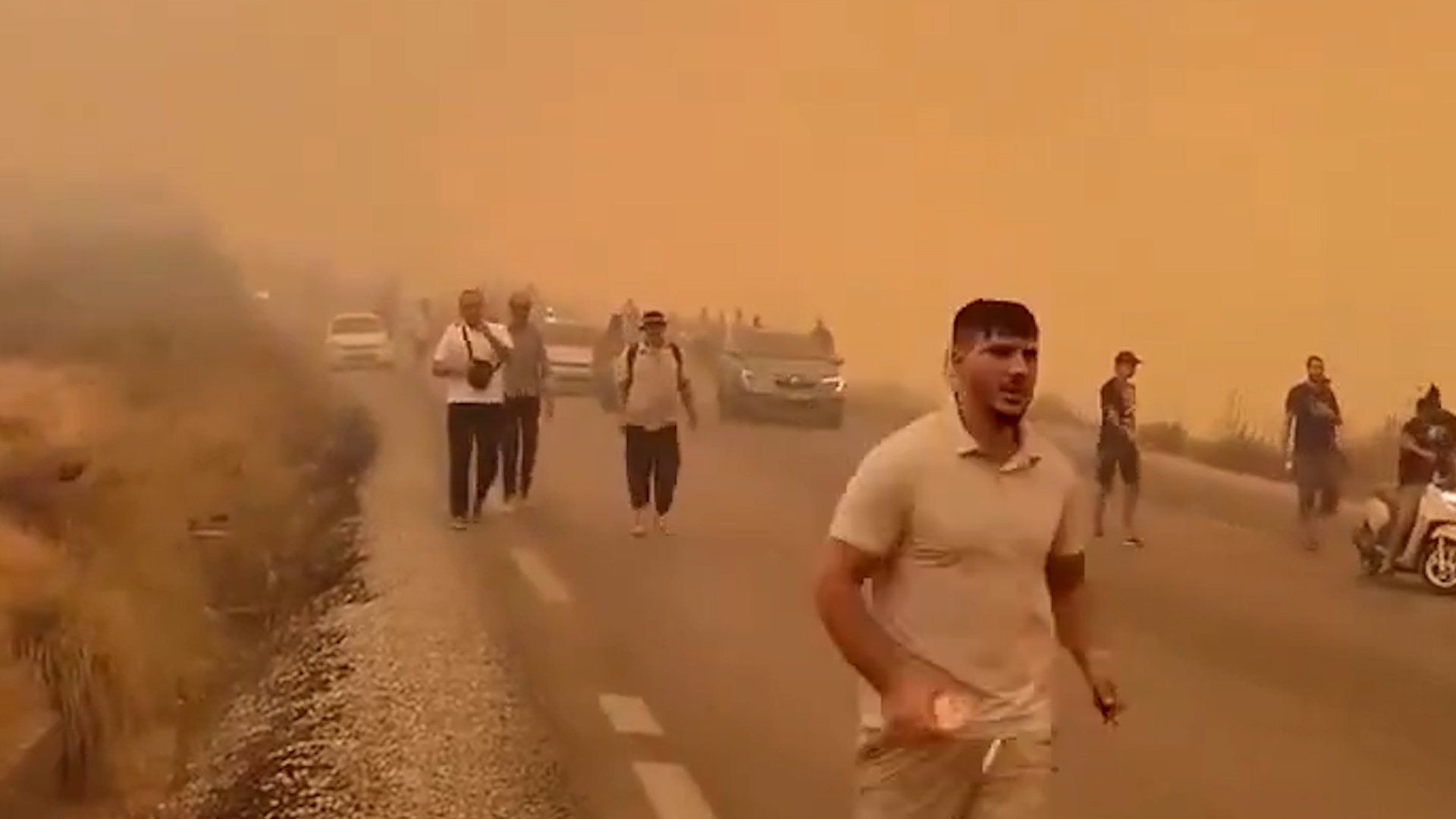 Twelve dead as over 150 wildfires rage across northeastern Algeria