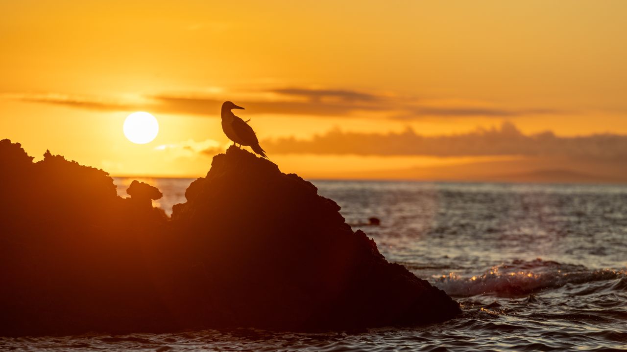 ‘This is such a clear story’: Climate change is supercharging El Niño to unprecedented strengths, study finds