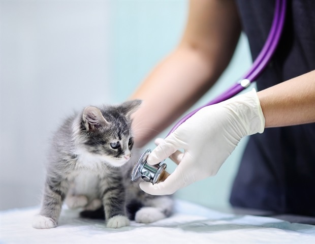 Pomegranate phytobiotics offer natural alternative to synthetic veterinary drugs