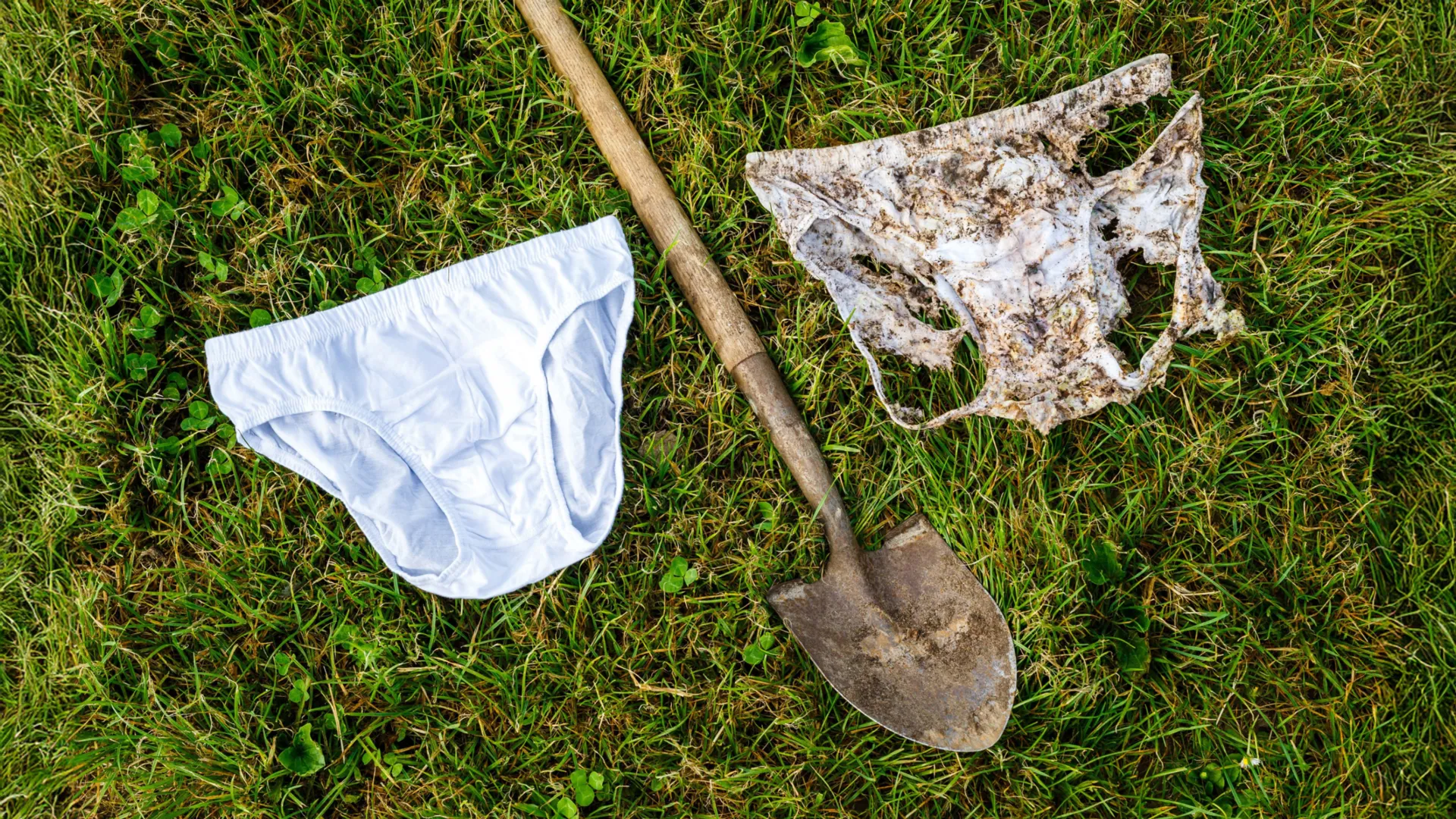 why-scientists-asked-1,000-people-to-bury-their-underwear