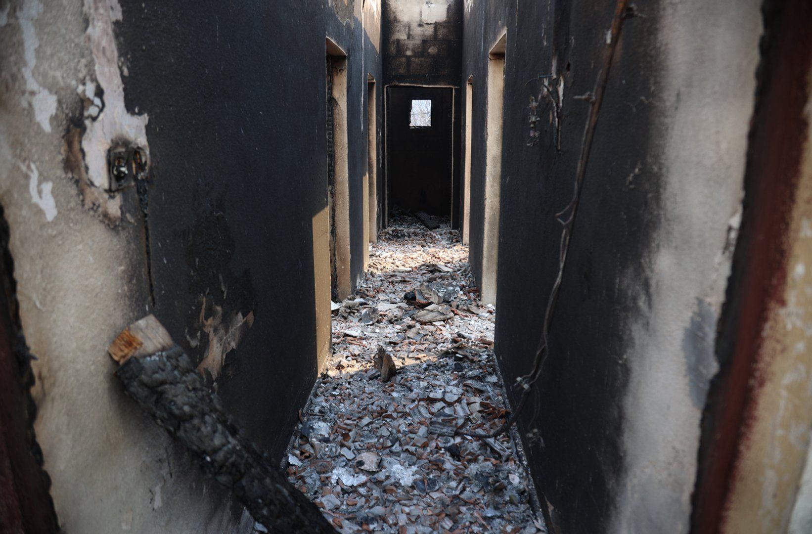 Algeria wildfire death toll expected to rise as survivors say nothing left