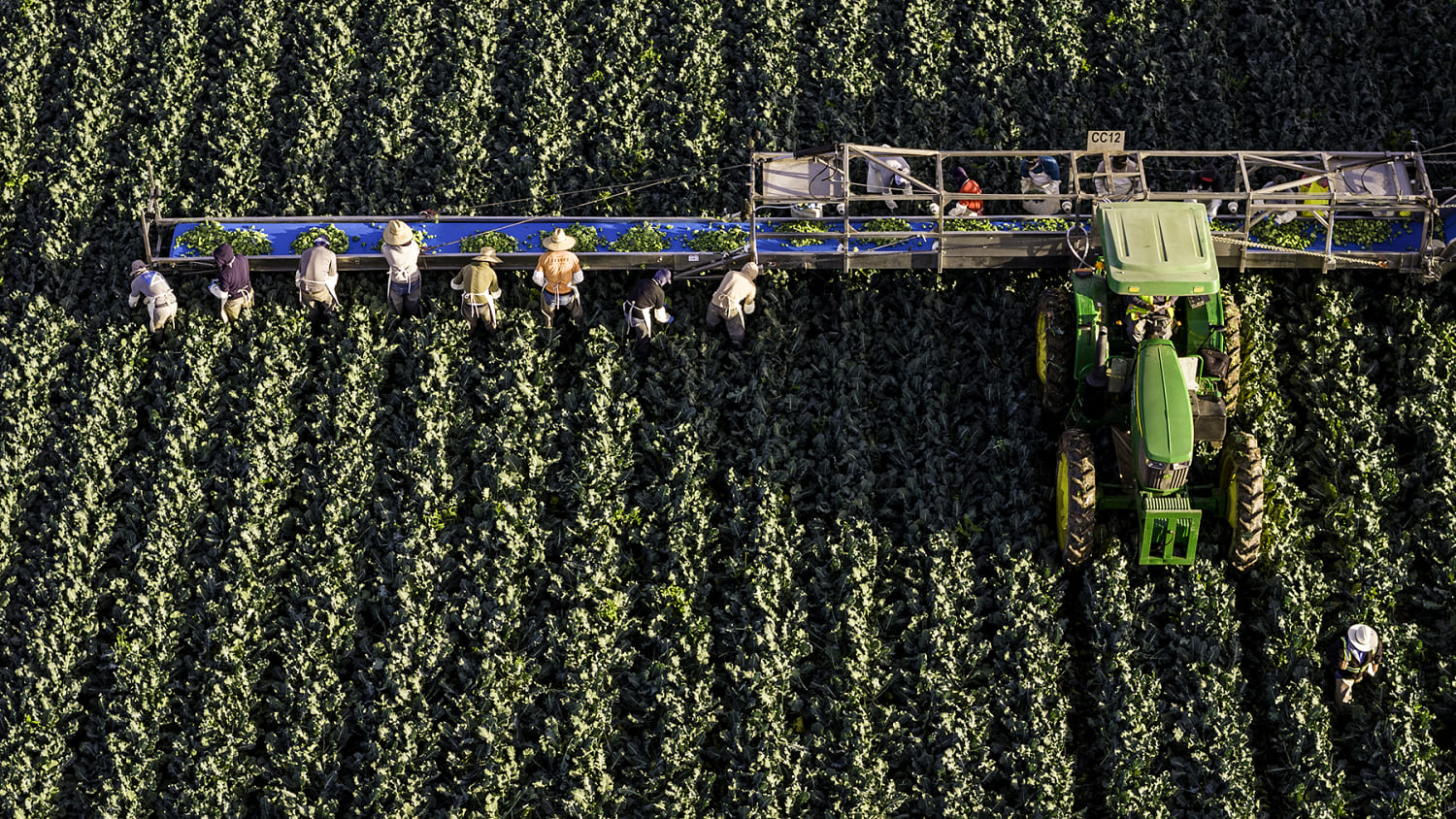 Water cuts are coming for Arizona. Is your salad on the chopping block?