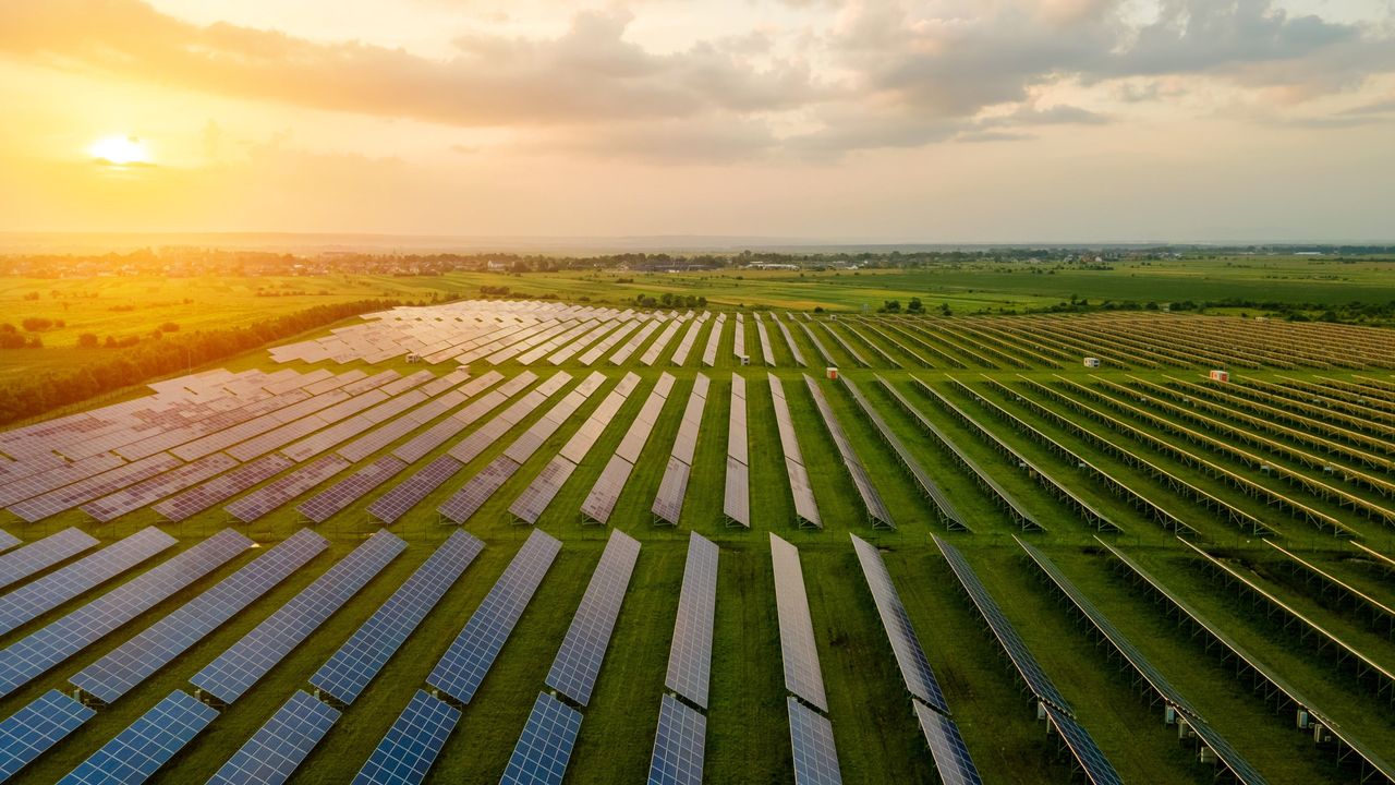 Planting crops in fields of solar panels is more efficient, protects the plants and helps keep workers cool, study finds