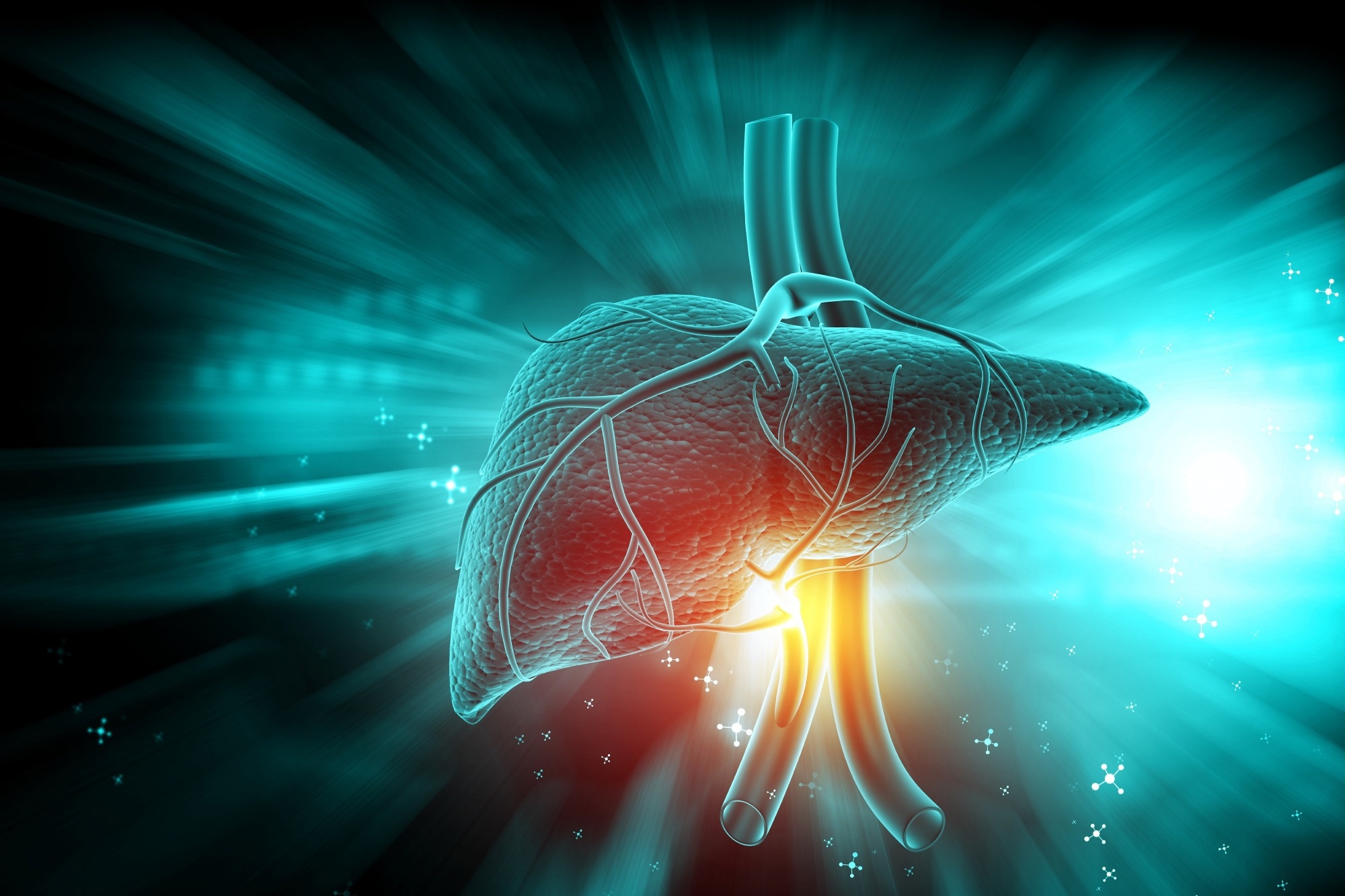 The scale told a similar story across three diets. The liver told a different one