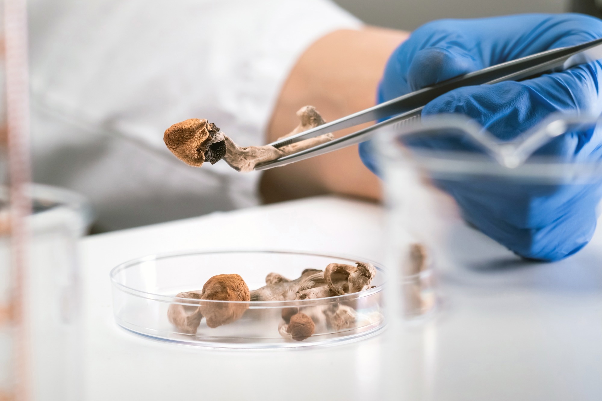 Does a psychedelic need an awake brain to have lasting effects? This mouse study offers a clue
