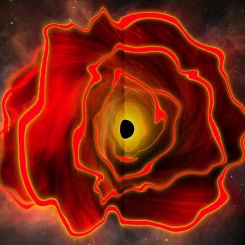 Research roundup: 7 cool science stories we almost missed