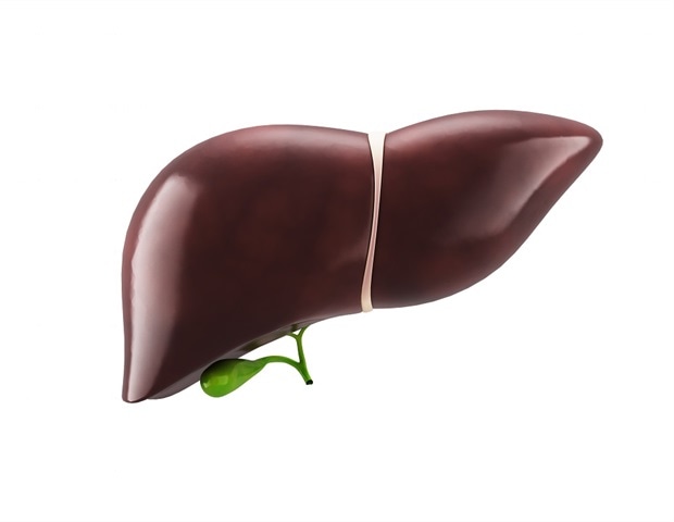 Blocking a key protein protects against metabolic liver damage