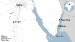 Bus crash on Egypt’s Red Sea coast kills 16