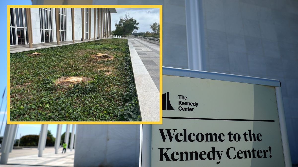 Did Trump order that weeping willows be cut down outside Kennedy Center?