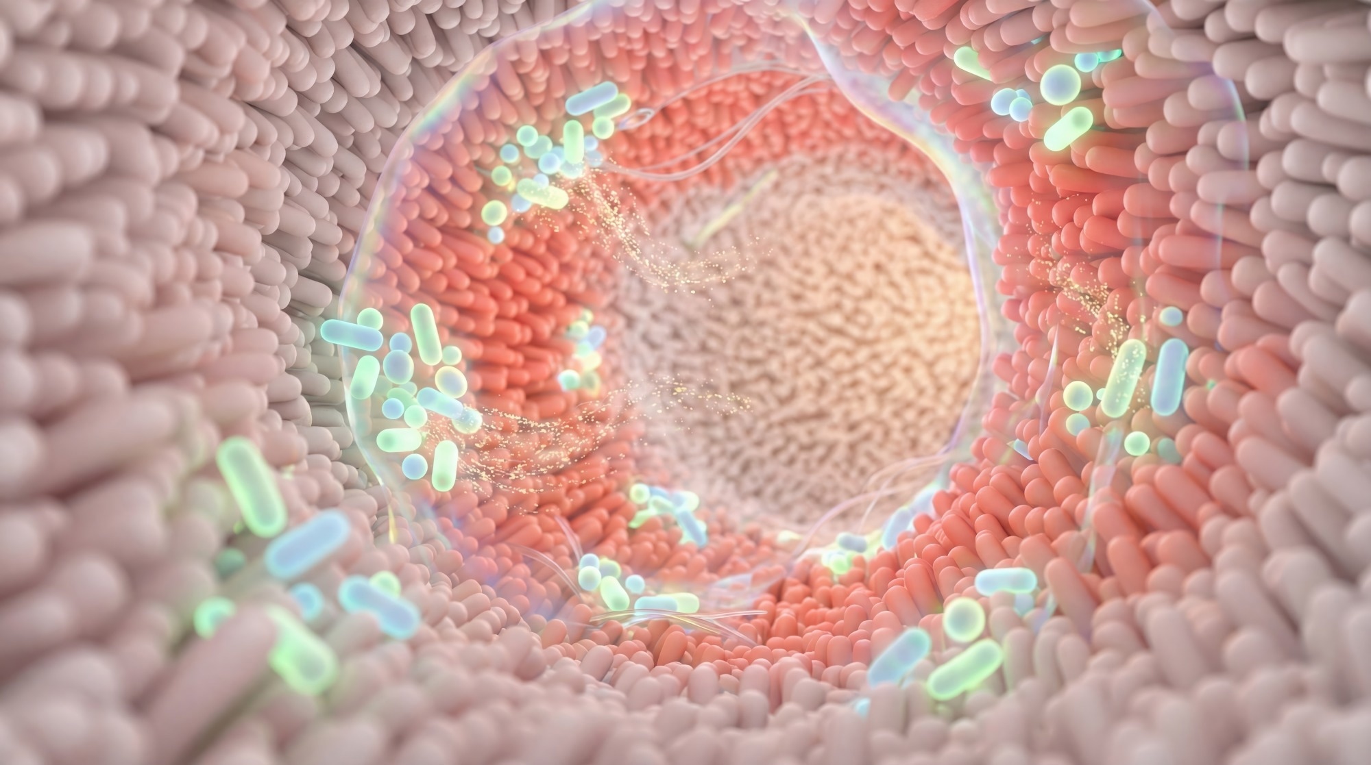 Menopause may start changing the gut years before periods stop