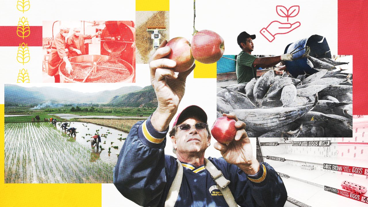 ‘The apple you eat isn’t the apple your granddaughter will eat’: What’s on the menu in a warming world?