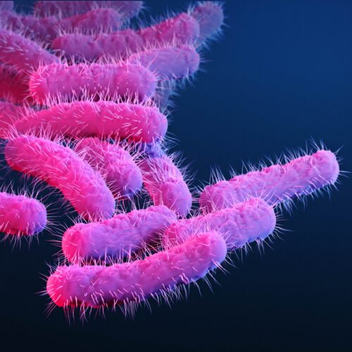 150 research primates got diarrhea, flooding lab with priceless vaccine data