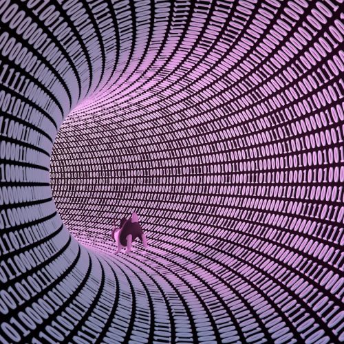 Confused about which VPN is right, US senator asks the NSA for guidance