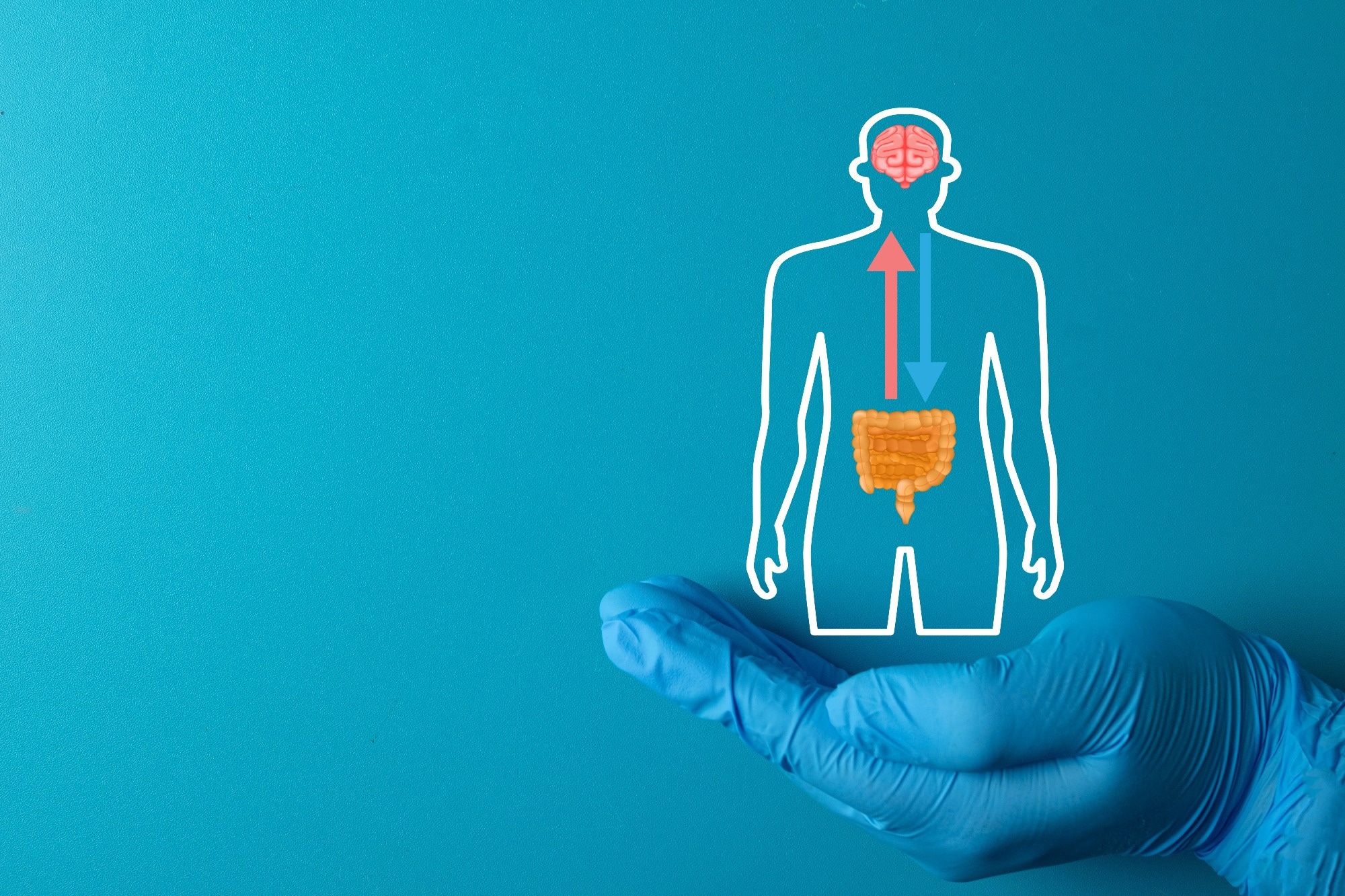 What your gut microbes may have to do with how your brain ages