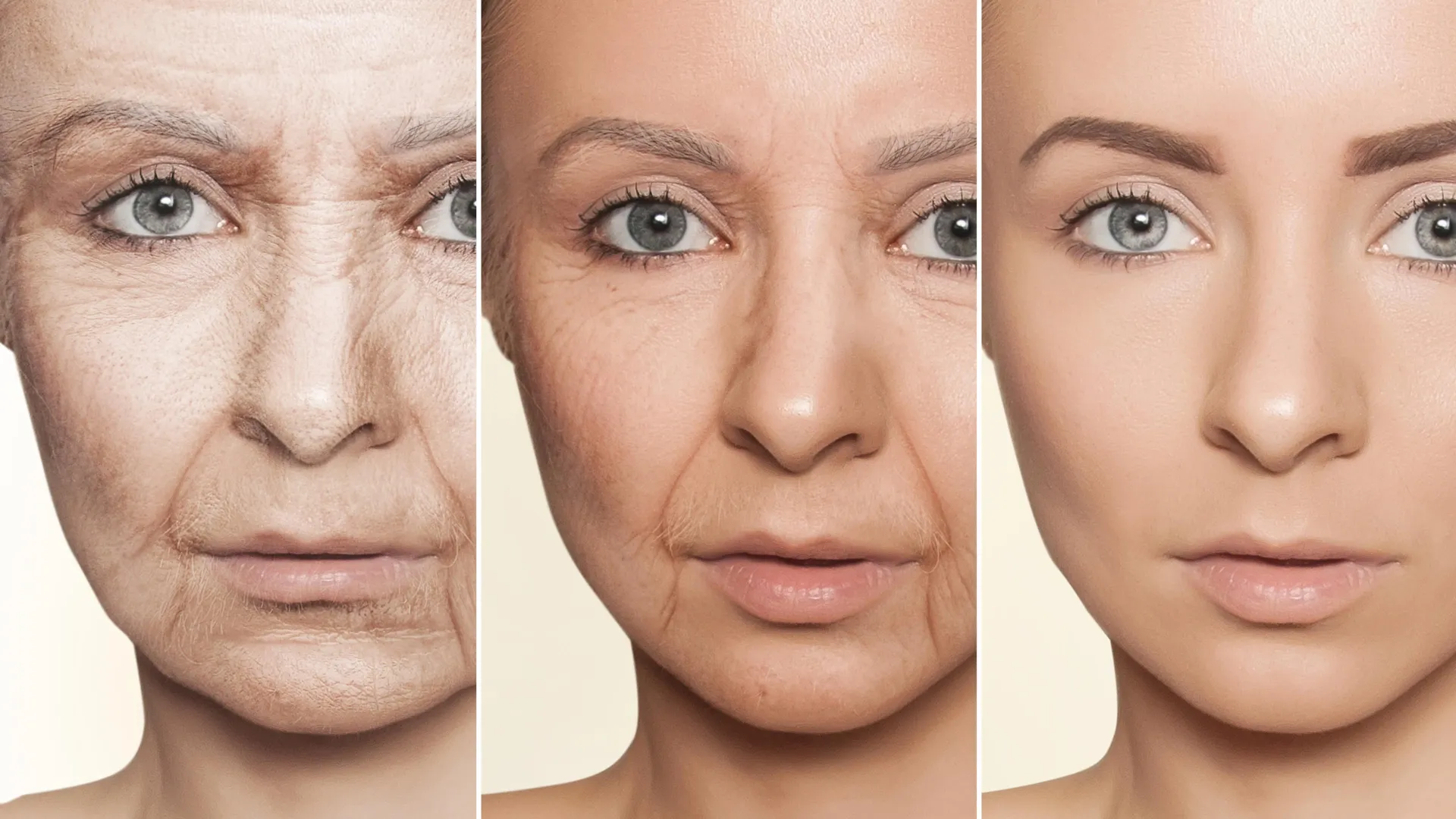 stanford-scientists-discover-a-seafood-that-can-reverse-signs-of-aging