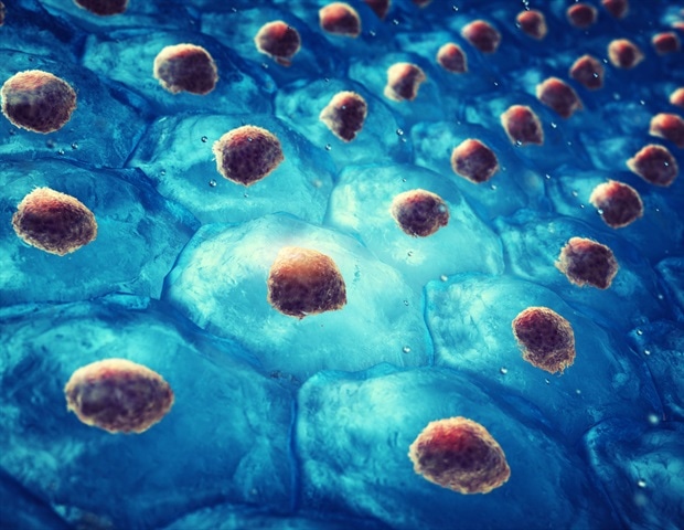 Crucial brain stem cells rely on metabolic pathways to make decisions