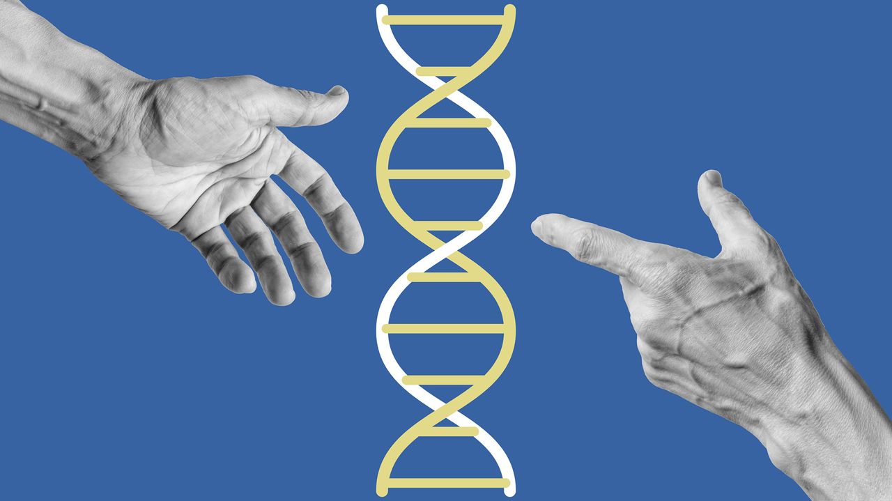 Author Lise Barnéoud on the bizarre and provoking world of microchimerism — when cells from one person live in another, genetically distinct individual