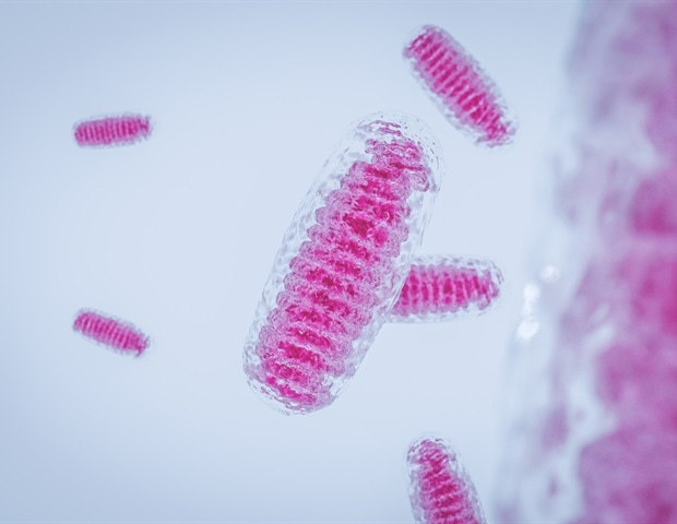 High-energy tissues rely on macrophages to clear cellular waste