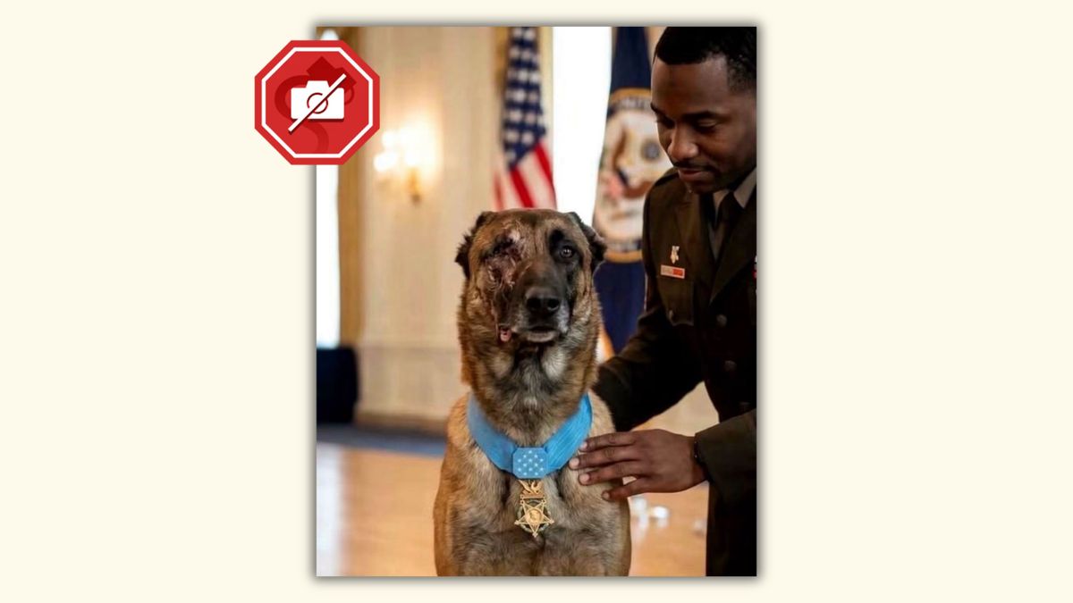 Story about ‘K9 Valor’ surviving suicide bomber, saving 47 soldiers isn’t what it seems