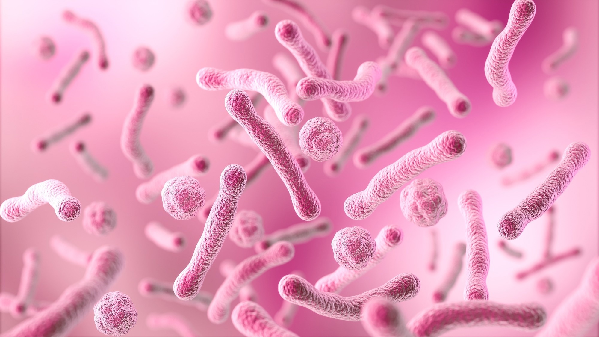 The vaginal microbiome may be an overlooked reservoir of antibiotic resistance