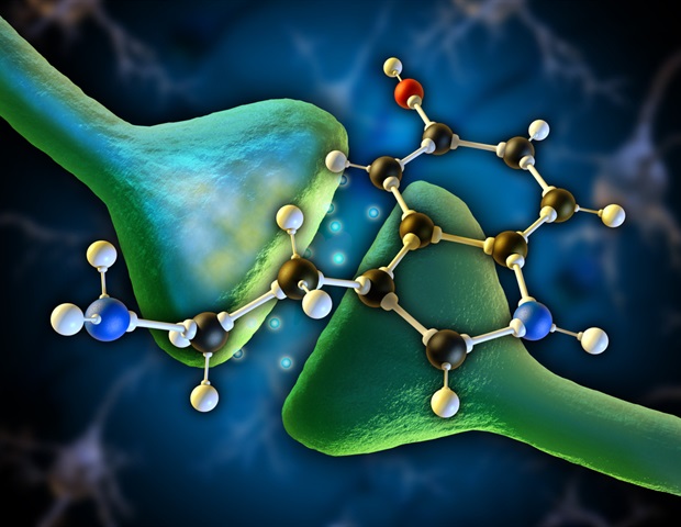 LSD deconstruction reveals promising new drug candidates