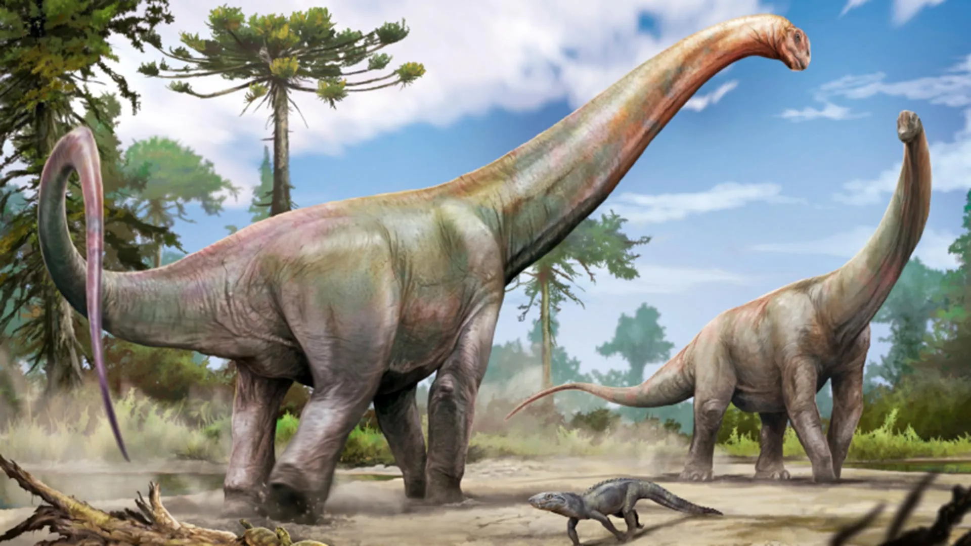 giant-new-dinosaur-discovered-beneath-construction-site-in-brazil