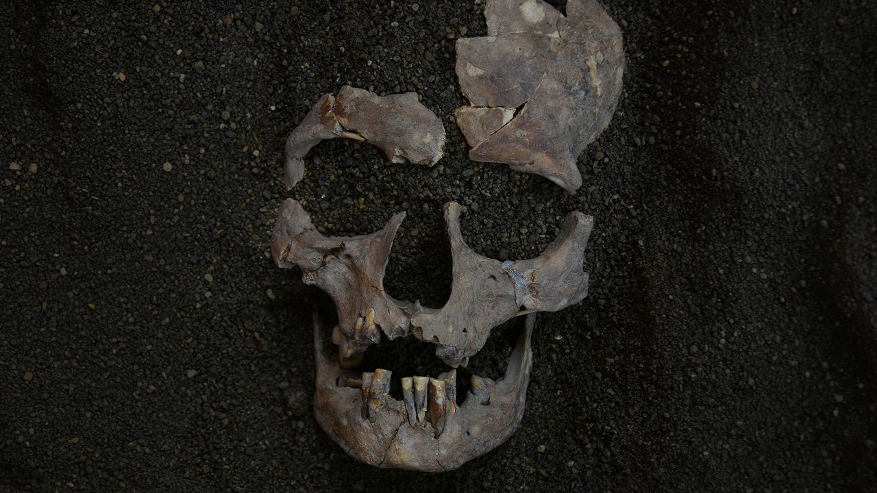 World’s oldest evidence of habitual drug use traced back 25,000 years to Indonesia