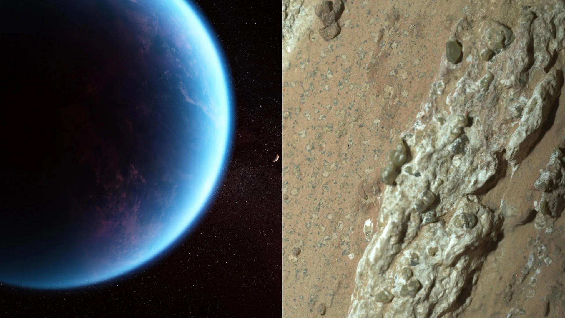 Have we found alien life? Hundreds of scientists weigh in