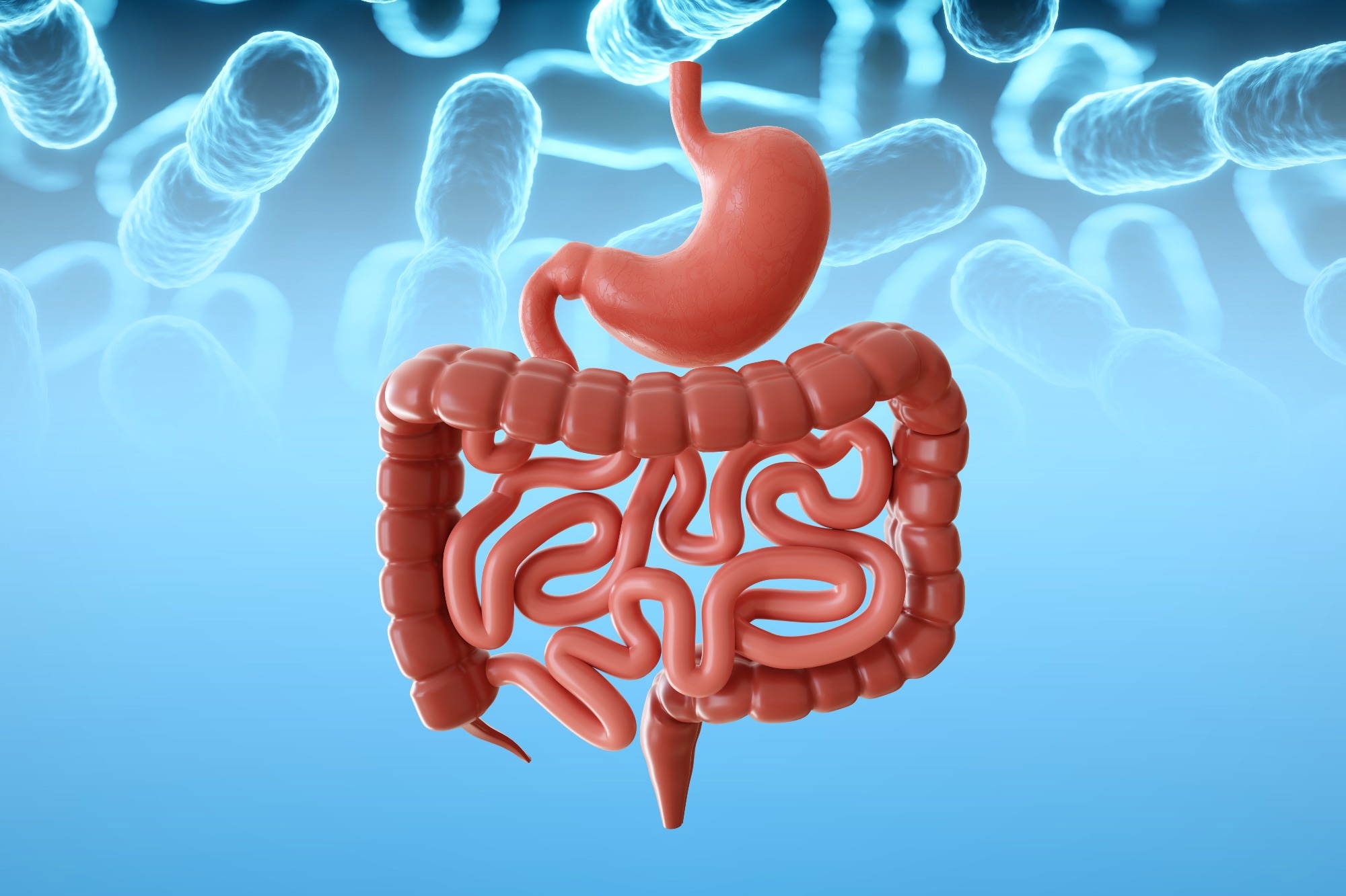 Gut microbiome may reveal inflammation and future disease risk better than age