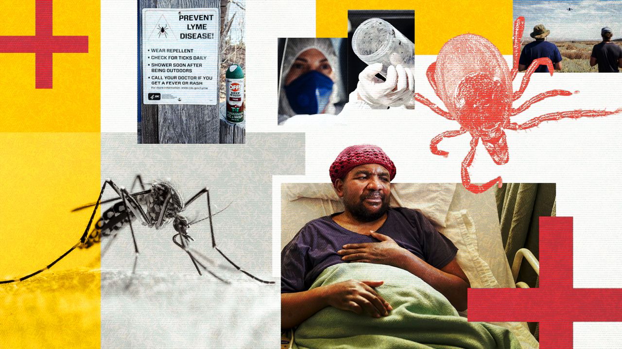 Infectious diseases will seed new ground as the planet warms — here’s where they’ll spread