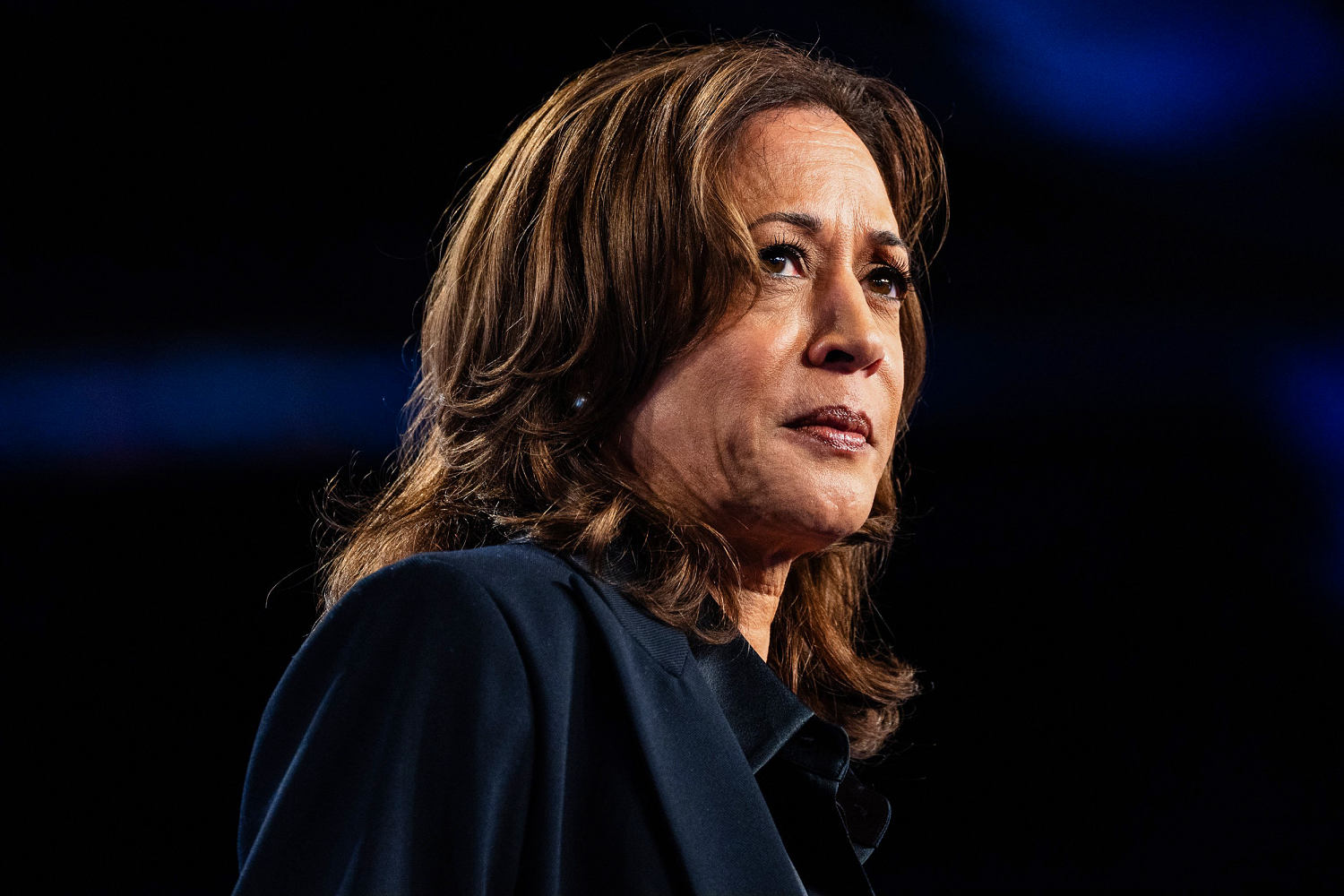 Alleged trespasser stopped outside Kamala Harris’ Malibu home