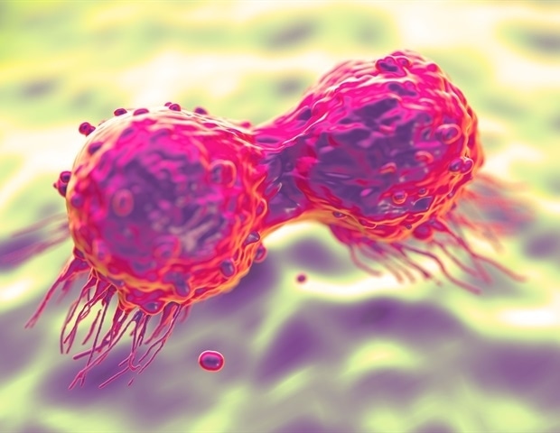 FDA clears trial of dual-targeted CAR T-cell therapy for cancer