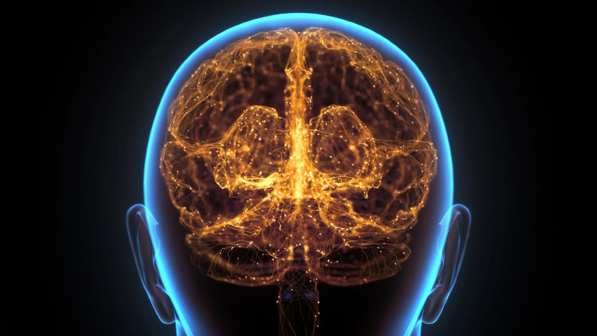 hidden-“immune-organ”-in-the-skull-may-help-fight-brain-cancer
