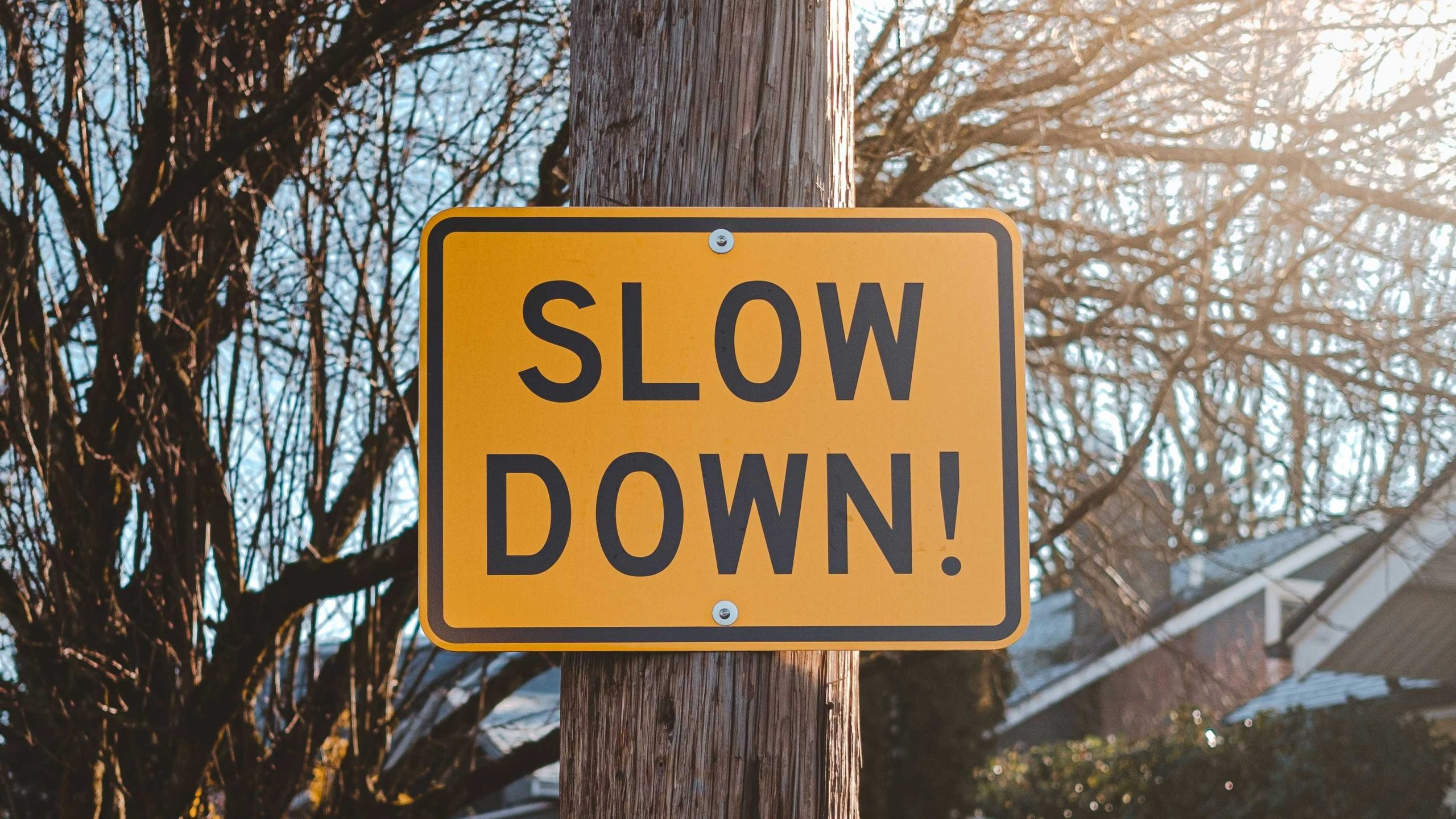 Why AI companies are really pumping the brakes on their models