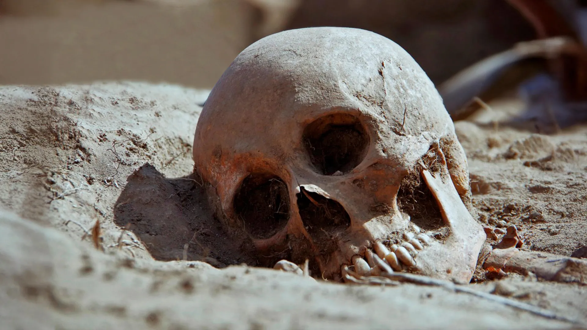 ancient-dna-reveals-how-plague-kept-returning-for-400-years-after-the-black-death